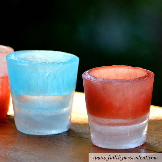 Twos Company Frozen Ice Shots Freezer Mold Makes 4 Ice Shot Glasses
