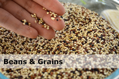Beans and Grains